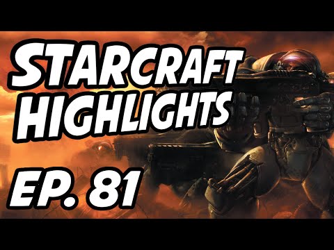StarCraft Daily Highlights | Ep. 81 | PracticeX, MorN_sc, lykingsprotv, Allaryce_, UpATreeZelda