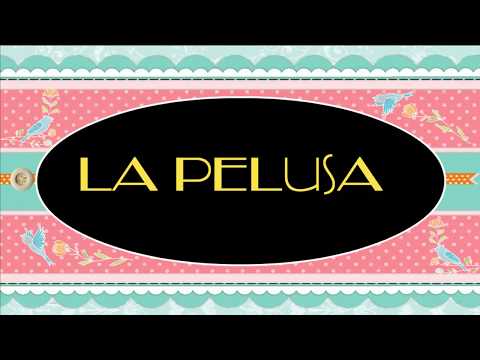 La pelusa-Alicia Macuri