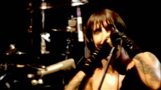 Red Hot Chili Peppers - Purple Stain - Live at Slane Castle
