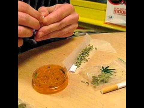 Spiritul Strazii-Anti-drog