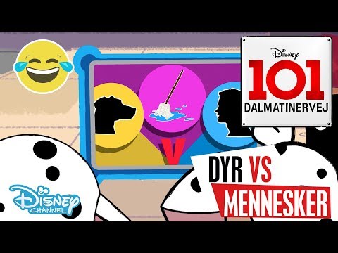 Dalmatinervej 101 | Dyr vs Mennesker: Rengøring 🐱- Disney Channel Danmark