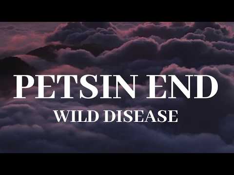 Wild Disease - Petsin end (Lyrics) (Sõnad)