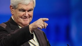 Who Is Newt Gingrich 