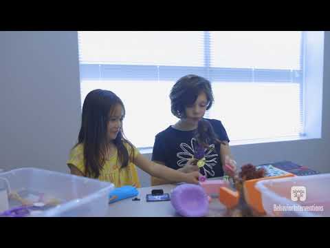 Behavior Interventions Inc