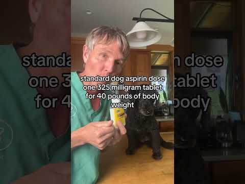 Dr. Sara May, Allergy and Immunology