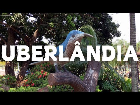 Uberlândia's Best Kept Secret!