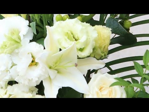 俳優・浜畑賢吉さん、７月２日に死去　８１歳　ＮＨＫ大河「秀吉」にも出演　妻は女優・上村香子