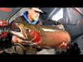 Video Thumbnail for My Top 4 Baits For catching HUGE Rainbow Trout