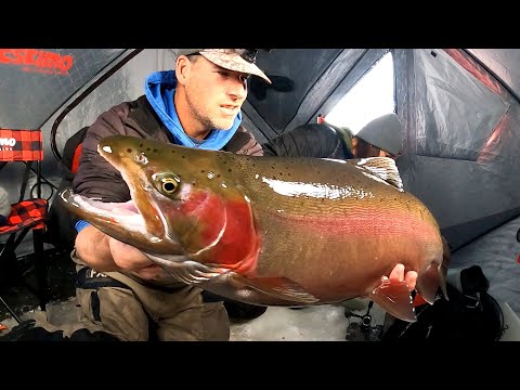 My Top 4 Baits For catching HUGE Rainbow Trout