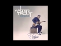 Walter Trout - Blues for the Modern Daze 