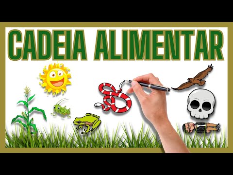 CADEIA ALIMENTAR - PRODUTORES CONSUMIDORES PRIMÁRIOS SECUNDÁRIOS TERCIÁRIOS... E DECOMPOSITRES -