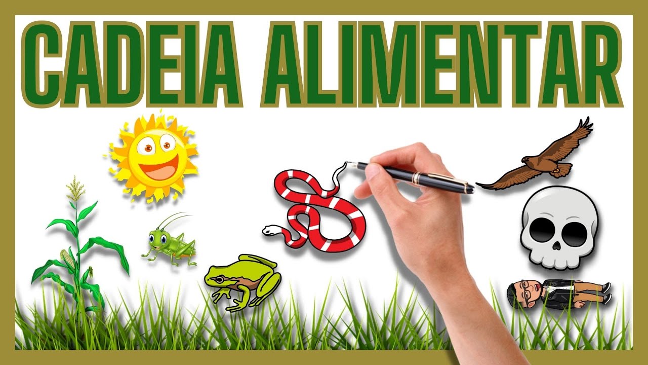 CADEIA ALIMENTAR - PRODUTORES CONSUMIDORES PRIMÁRIOS SECUNDÁRIOS TERCIÁRIOS... E DECOMPOSITRES -