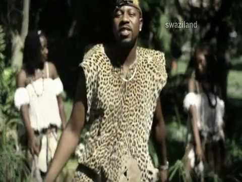 ZIQO  - Amigo de Zuma