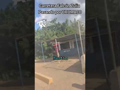 PARA PEDREGAL MCPIO. DEMOCRACIA ESTADO FALCÓN VENEZUELA