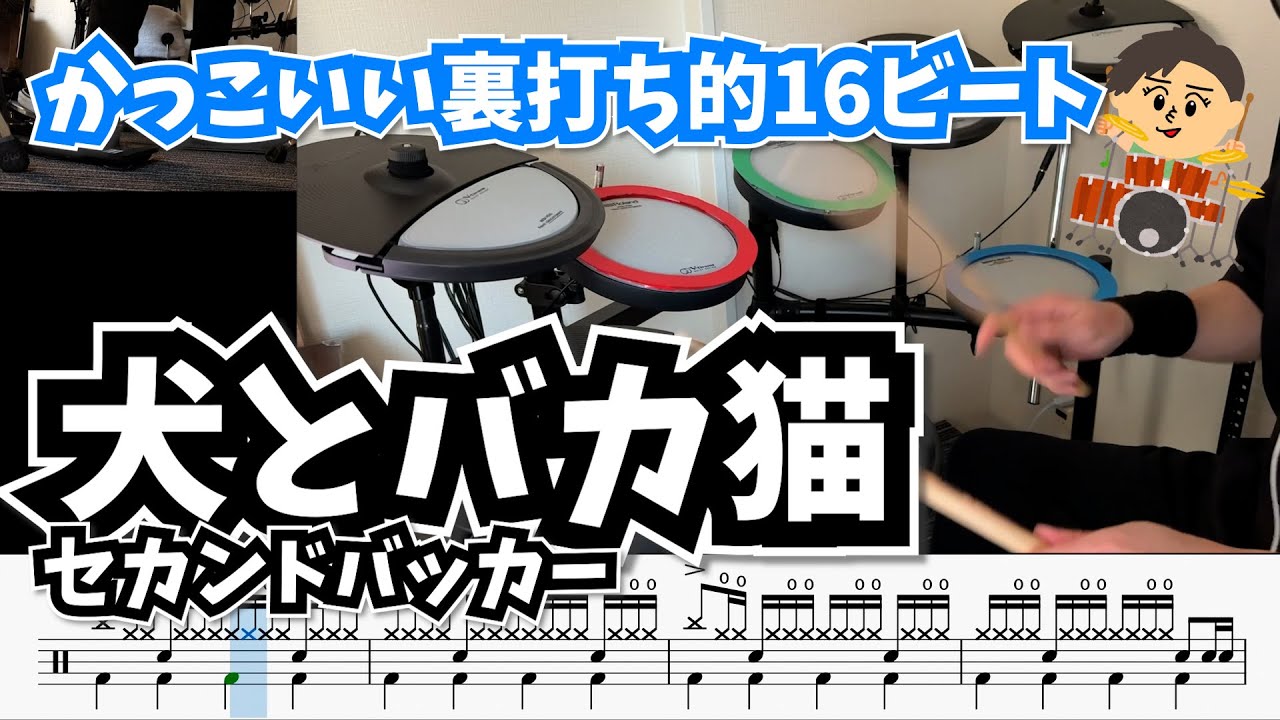 ドラム叩いてたら猫がフレームインしてきた。【犬とバカ猫 / セカンドバッカー】