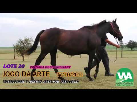 Lote JOGO DA ARTE