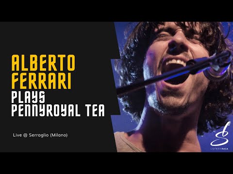 Alberto Ferrari (Verdena) - Pennyroyal tea (Nirvana) - chitarra Liuteria Sala