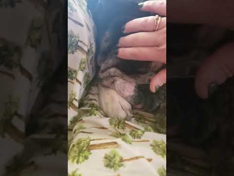 wrinkle paste review!!