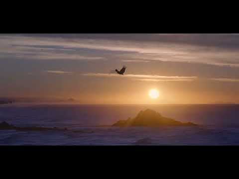 CMA - Where It Begins