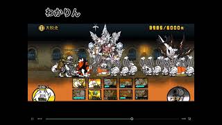わかりんとるっきーまんとコラボ！！