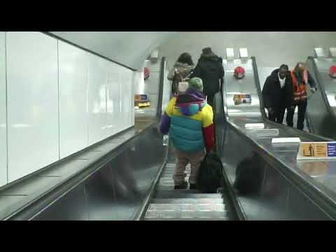 LORD APEX - INEEDAPOUNDOFGUSHERS (PROD. DRAE DA SKIMASK)