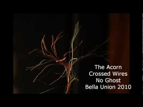 The Acorn - Crossed Wires