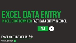Download the video "Excel Data Entry Tricks: How to Use the Excel In Cell Drop Down for Fast Data Entry"