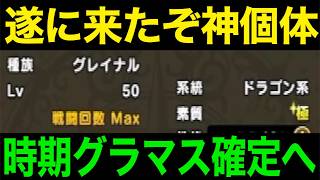 モングラ勢震えろ…私が来た！！！！【ドラクエウォーク】【ドラゴンクエストウォーク】