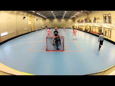 The last innebandyninja