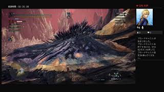 だんまりゲーム[PS4　モンスターハンターアイスボーン]適当に救難