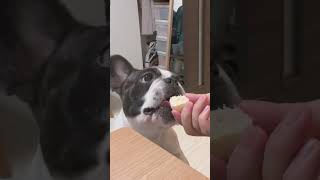 バナナ美味しいね〜😊