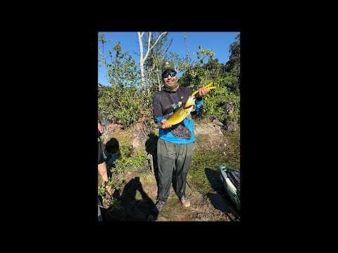 🔴 Expediçao pesca de caqiue e acampamento no rio Apiacas-MT✅