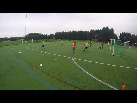 HJS 04/05 TYTÖT HARJ 18.8.2017 ( 1. Video )