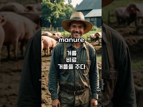 영어단어 하루4개(1460/1년) #영어단어 #영어회화 #English