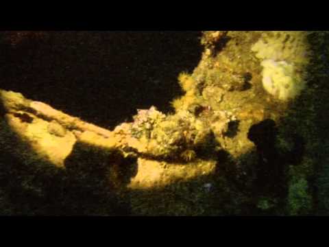 Rannamaari Wreck 15th Anniversary Dive - Midnight