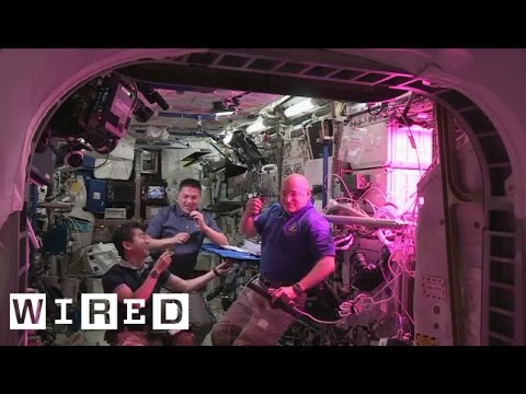 Astronauts Eat First  Space Grown Salad