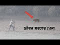 Sundarban Tiger Atack Sundarban Fishing Video Sundarban Fishing Bangla Sundarban অভিযান