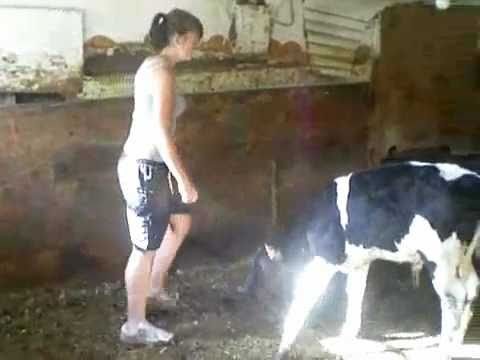 Calf riding
