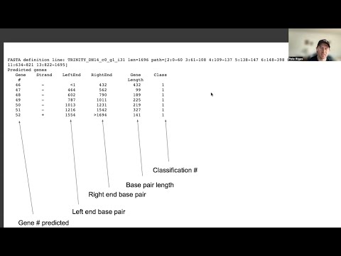 Prediction of genes from prokaryotic genomes with GeneMarkS