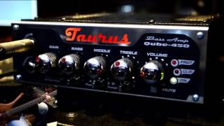 Taurus Qube-450 Bass Head Demo