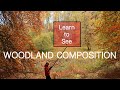 Landscape Photography | Learning how to see woodland compositions.