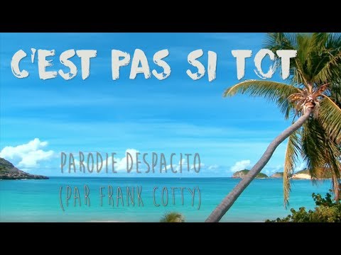 Luis Fonsi - Despacito - PARODIE Frank Cotty