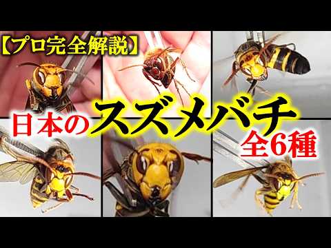 リダイレクトアイコン