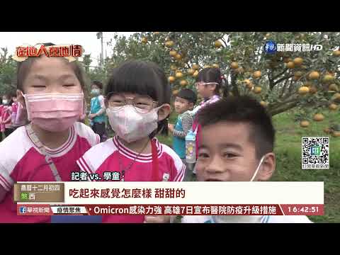 【台語新聞】學童參訪茂谷柑園 認識家鄉農特產品