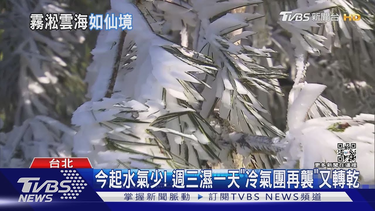 太平山嘸雪「有霧淞」 姊興奮嗨跳、有人扮甄嬛