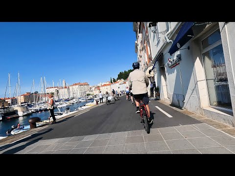 Intrepid Cycling in Slovenia - Sept 2025 –  Day 7 - Cycle Postojna to Piran