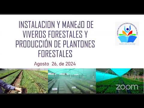 𝐂𝐔𝐑𝐒𝐎: INSTALACION Y MANEJO DE VIVEROS FORESTALES Y PRODUCCIÓN DE PLANTONES FORESTALES
