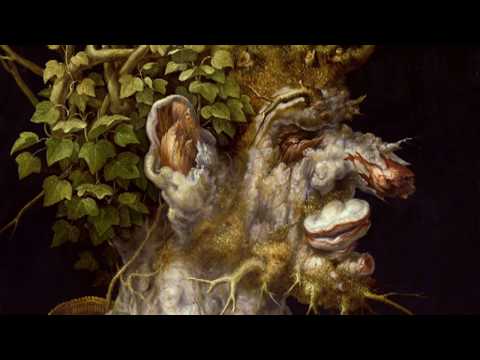 100 Meisterwerke - Winter - Giuseppe Arcimboldo