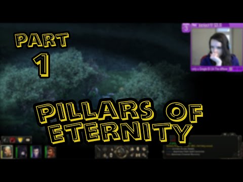 First Look: Pillars of Eternity! (Part 1)