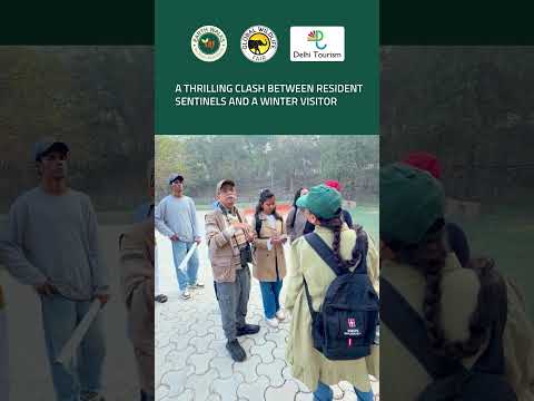 A Historic Morning | Amrut Biodiversity Park | Delhi Tourism